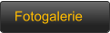 Fotogalerie